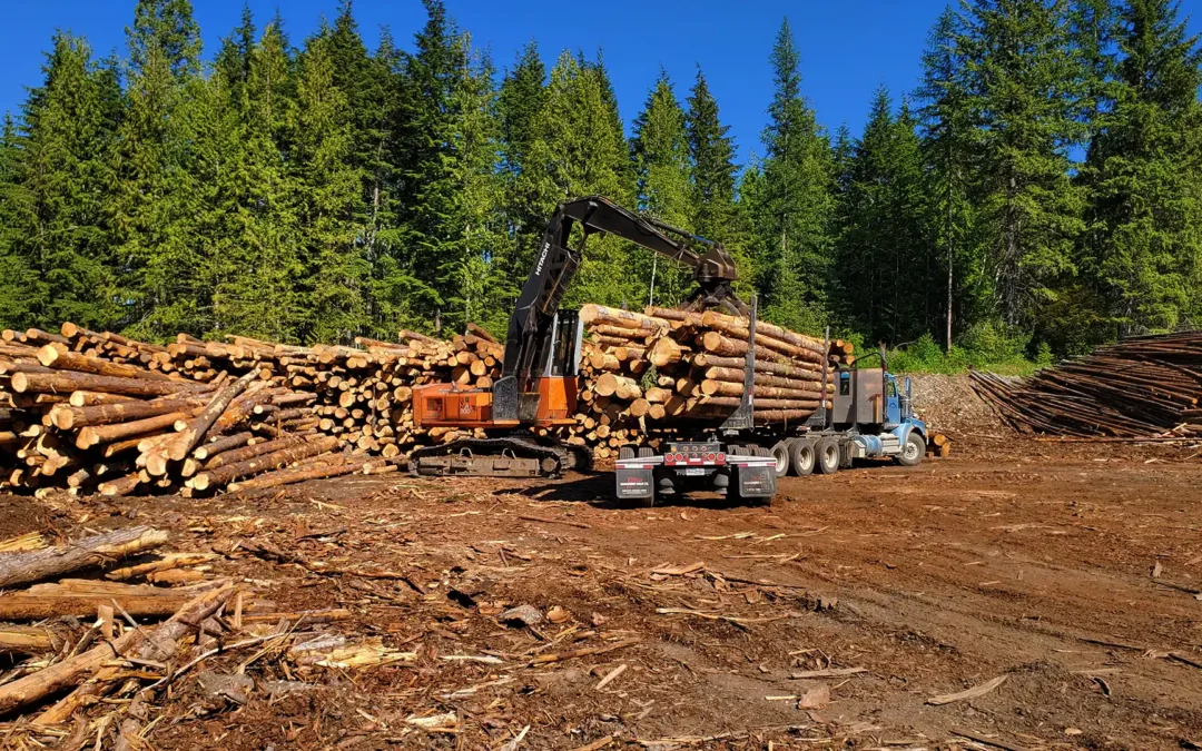 2007 Hitachi ZX200LC Log Loader