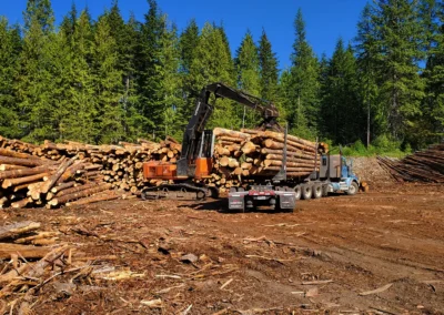 2007 Hitachi ZX200LC Log Loader