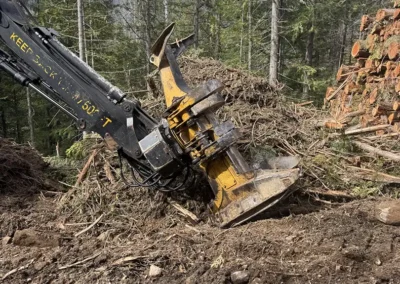 2011 Tigercat 870C Feller Buncher Head 1