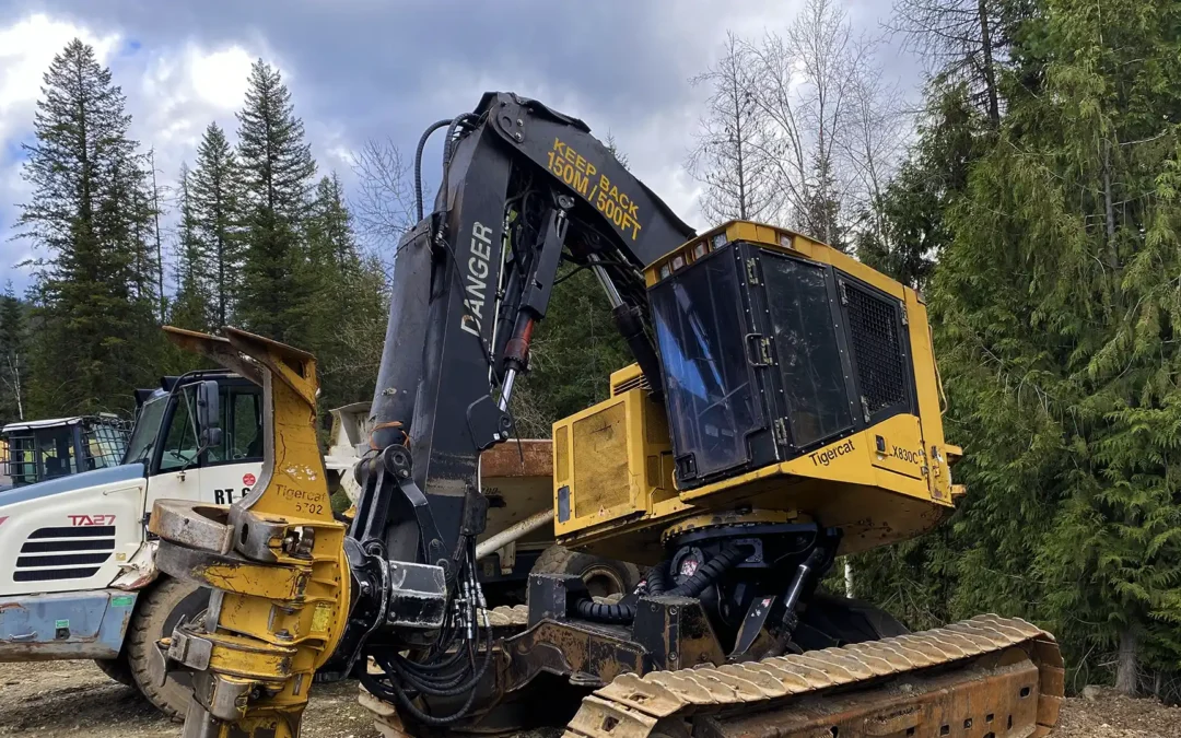 SALE PENDING  2012 Tigercat LX830C Feller Buncher