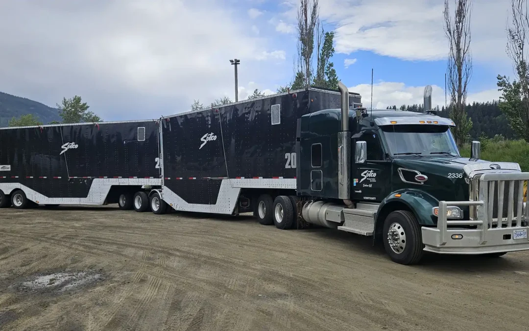 2017 Fericar Super B Chip Bulk Trailer